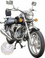 SISSY BAR DAELIM 125/250 DAYSTAR et VT..AVEC PORTE PAQUET CHROME...SP535 HAUTEUR 35cm LA BOUTIQUE DU BIKER