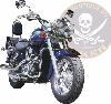 SUPPORTS SACOCHES KAWASAKI VN800 VN + CLASSIC...SP444...LA BOUTIQUE DU BIKER