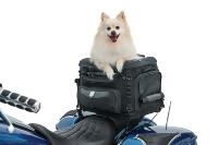 SAC POUR CHIEN KURYAKYN...KUR5288 SADDLEBAG GRAND PET PALACE 35150185 / 5288... #LABOUTIQUEDUBIKER