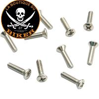 VIS DE COUVERCLE FILTRE A AIR S&S...DS289405 S&S CYCLE AIR COVER SCREWS...LABOUTIQUEDUBIKER