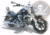 PORTE PAQUET YAMAHA XVS950 MIDNIGHT STAR...SPECIAL TOP-CASE CHROME...SP802TC.. LA BOUTIQUE DU BIKER